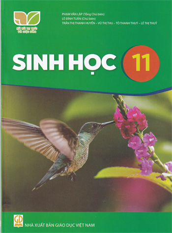Sinh học 11 (Bộ Kết nối tri thức với cuộc sống)